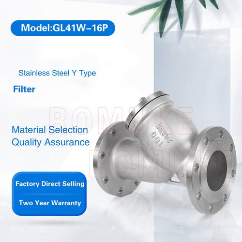 Stainless steel Y-shaped flange filter